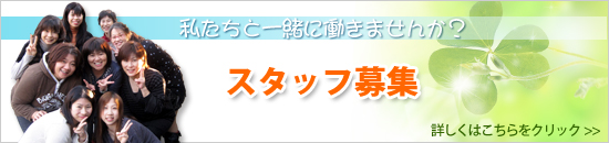 スタッフ募集